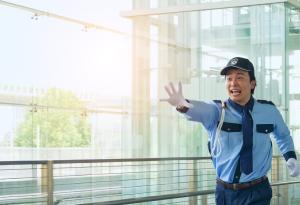 Виц: Полицай гони крадец