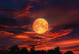 Защо раждането често започва през нощта