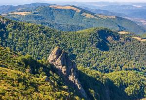 Виц: С всеки изяден шоколад се отдалечаваш с десет метра от плажа