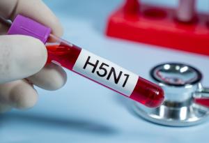 Създадоха модел с изкуствен интелект за прогнозиране на птичи грип в Европа