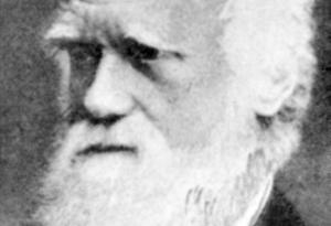 Създадоха огромно ДНК дърво на живота на покритосеменните растения