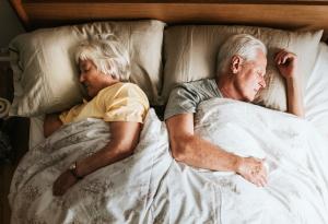 Учени: Хората, птиците и влечугите спят в един и същ ритъм от над 300 милиона години