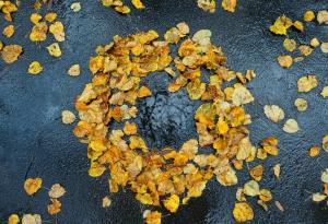 Ноември под лупа: за слабия COP30, тревожните научни сигнали и единствения глобален успех