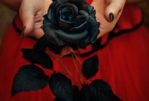 Не казвайте „Обичам те“, преди да отговорите честно на тези въпроси