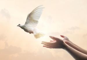 Не можем да следваме принципа "око за око"