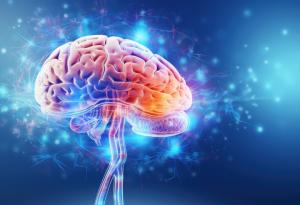 Математически модел показва как съхраняваме наративни спомени