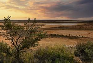 Учени откриха най-стария метеоритен кратер на Земята – ключ към произхода на живота