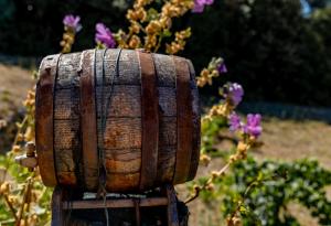 Виц: В планината с дамаджана с 10 литра ракия