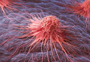 Популярна добавка против стареене може да подпомага растежа на рак