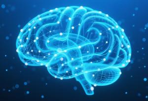 Човешкият мозък е най-сложната структура в познатата ни вселена