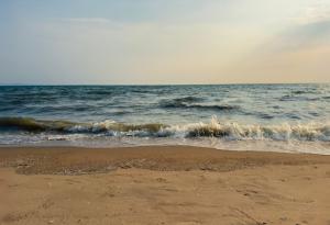 Микроби в крайбрежните пясъци могат да възпрепятстват усилията за борба с изменението на климата