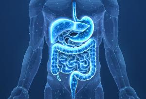 "Големият взрив" на рака на дебелото черво: кога туморът става невидим за имунната система