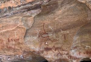 Откриха древни скални рисунки на камили и газели в Саудитска Арабия