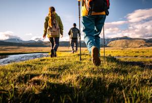 Виц: Депутати са на разходка в планината