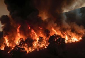 Замърсяването с фини прахови частици в резултат на дима от горски пожари е свързано с 24 100 смъртни случая годишно в САЩ