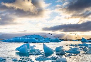 Светът е загубил 5% от ледниците си от 2000 г.