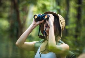 Наблюдението на птици може да подпомогне предпазването на мозъка с напредъка на възрастта