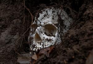 Древна ДНК най-сетне разкри причината за мистериозната смърт на херцог от XVI век