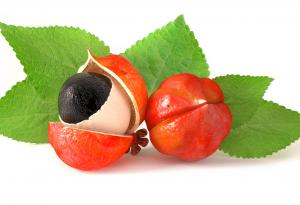 Гуараната - природният енергизатор