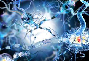 Ролята на невровъзпалението при прогресиращата множествена склероза