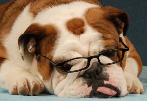 По-умни = по-болни