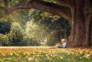 Уорън Бъфет за приемствеността 