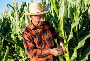 Предимствата на биологичното земеделие