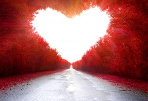 Пеньо Пенев: Човек се ражда, за да обича