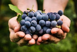 Бог никога не ни забравя, забравяме го ние