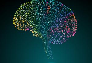 Проучване идентифицира генетични мутации, които допринасят за епилепсията при възрастни