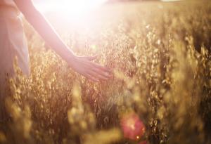 Съвременна приказка за вината