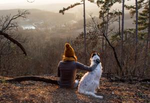 Най-добрият ви приятел е винаги насреща