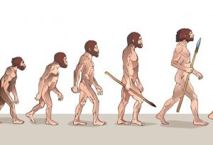 Еволюцията на човека - повече от сложно към просто, отколкото обратното