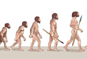 Еволюцията на човека - повече от сложно към просто, отколкото обратното