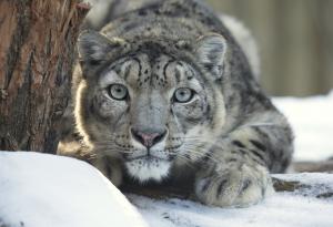 15-метров скок