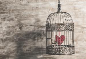 Питагор за тялото като гроб на душата