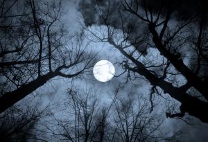 Днес ще наблюдаваме Вълче лунно затъмнение