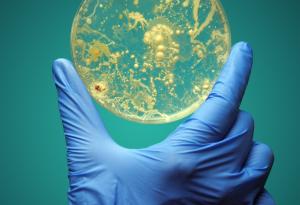 Откриха над 12 000 нови вида микроби