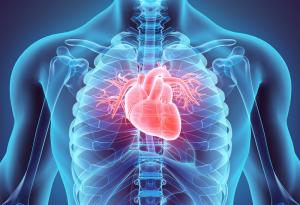 Всеки допълнителен сантиметър на талията повишава риска от проблеми със сърцето