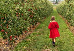 Притча за невидимото за очите