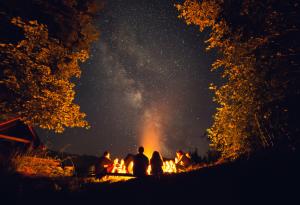 Дамян Дамянов: Животът скрит е в дребните неща