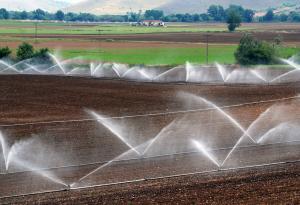 Замърсяването на питейната вода с пестициди е невидима заплаха