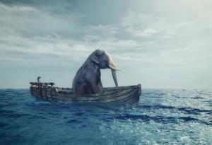 10 вица с черно чувство за хумор