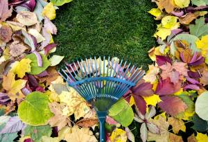 Виц: Какво е жизнен опит?