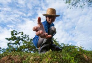 Добрият човек може да зарази с добротата си дори случайни хора