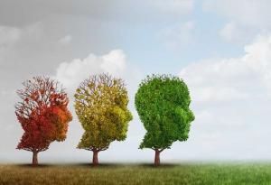 Учени: 9 промени в начина на живот могат да намалят риска от деменция