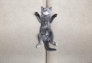 Ползите от добрия сън