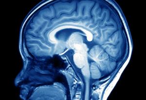 „Мозъчен“ вместо пръстов отпечатък?