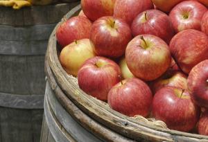 Когато някой те вбеси, прочети този текст