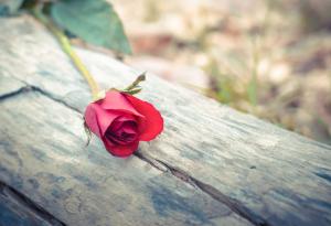 Беназир Бхуто: Губим мъжете си с безразличие